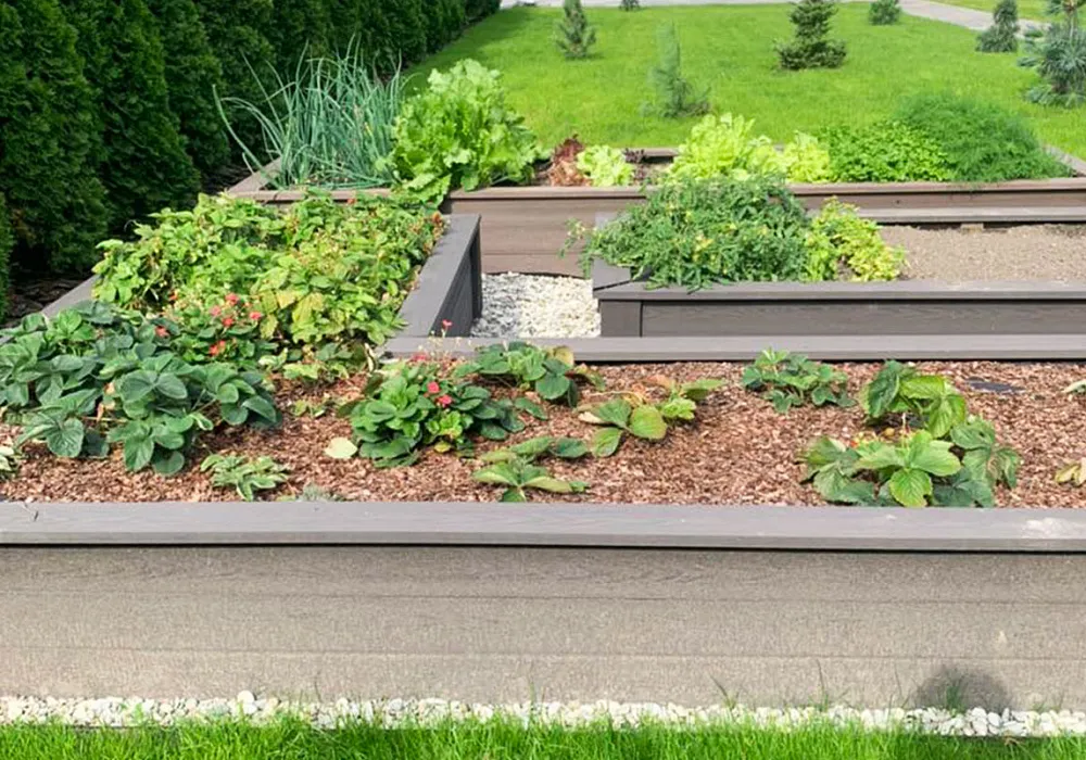 Грядки для овощей и фруктов из заборной доски. Грядки для овощей и фруктов из заборной доски.